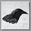 [樂評] 黃靖 (Jing Wong) -《Last Breath of Youthful Melancholy》